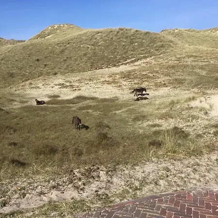 Move To The Sea Apartamento Egmond aan Zee