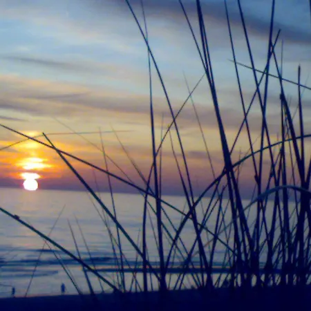 Move To The Sea Apartment Egmond aan Zee